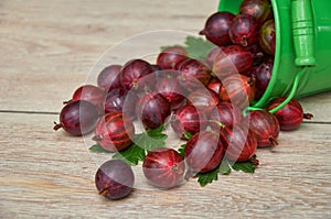 Red gooseberries in a small green bucket on a wooden background
