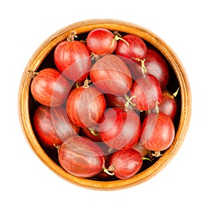 Red gooseberries in a wooden bowl, Ribes uva-crispa