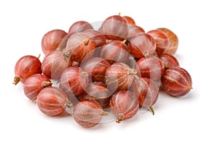 Red gooseberry