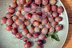 Red gooseberry berries in a clay plate on a wooden background. Collected in the summer from a gooseberry bush.