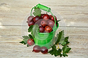 Red gooseberry in a small green bucket on a wooden background