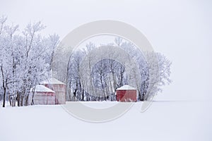 Red grain bins in white winter landscape photo