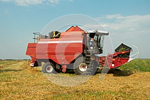 Red grain harvester combine in a field