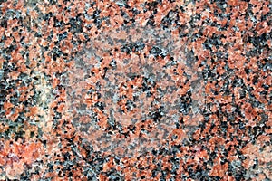 Red granite with large feldspar crystals polished surface