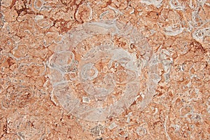 Red granite wall background texture