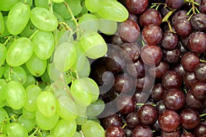 Red grap and green grap bunch for background