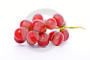 Red grape