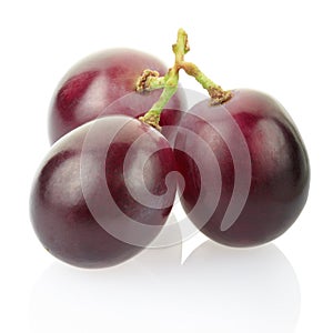 Red grape