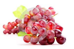 Red grape