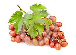 Red grape