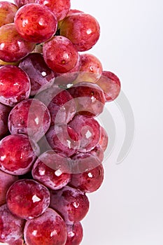 Red grape