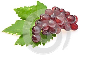 Red grape