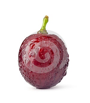 Red grape