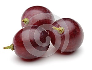 Red grape