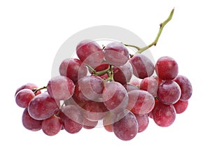 Red grape bunch