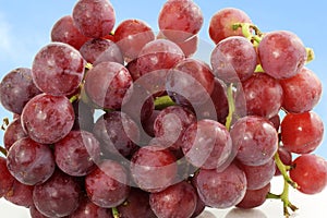 Red grape bunch closeup in sky background