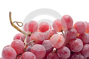 Red grape close-up