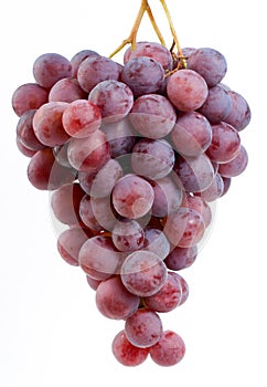 Red grape cluster.