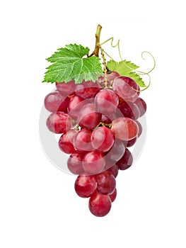 Red grape cluster
