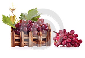 Red Grape Fruit isolated on white background