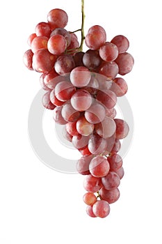 Red grape isolated