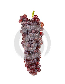 Red grape isolated on over white background