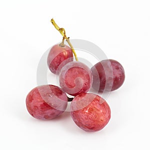 Red grape isolated on white