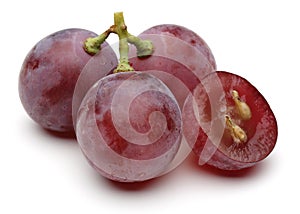 Red grape