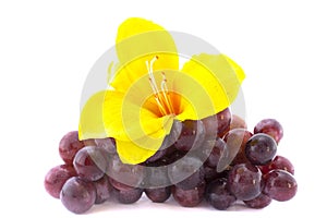 Red grape isolated on white background with a flow