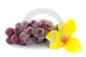 Red grape isolated on white background with a yell
