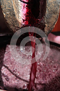 Red grape juice extraction