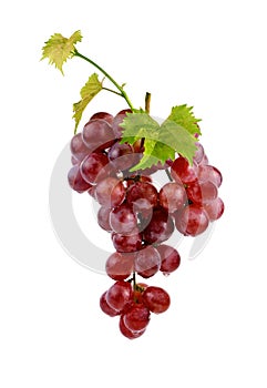 Red grape with leaf