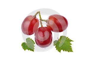 Red grape with leaf isolated on white background