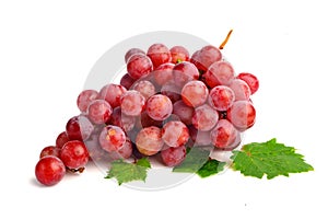 Red grape with leaf isolated on white background