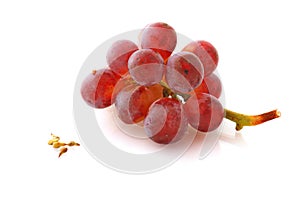 Red grape photo