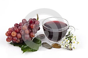 Red Grape (Vitis vinifera L.)