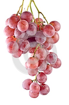 Red grape on white