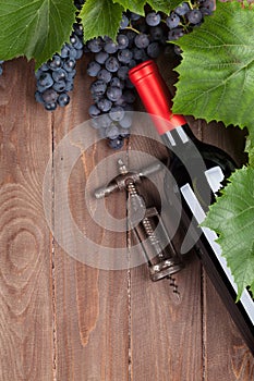 Red grape, wine bottle and corkscrew