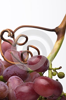 Red Grapes