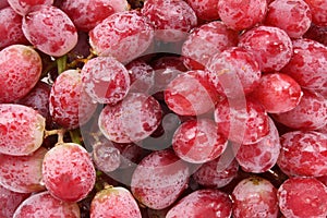 Red grapes