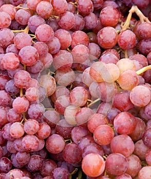 Red grapes