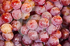 Red grapes.