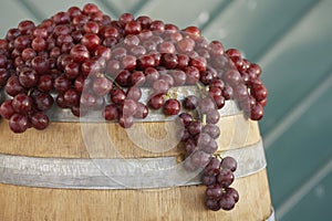 Red Grapes On Barrel