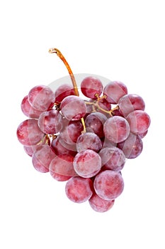 Red grapes bunch