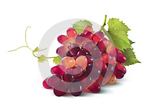Red grapes bunch with leaf isolated on white background