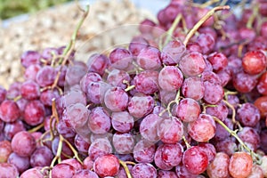 Red grapes bunches on farmer market