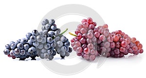 Red grapes;Dark grapes, Isolated on white background