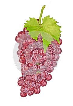 Red grapes with green leaf isolated on white background
