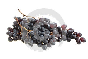 Red grapes isolated.