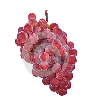 Red grapes isolated on white background